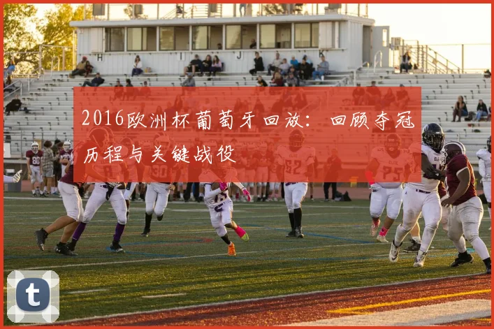2016欧洲杯葡萄牙回放：回顾夺冠历程与关键战役
