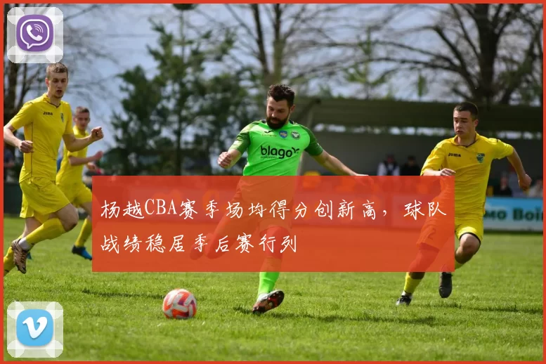 杨越CBA赛季场均得分创新高，球队战绩稳居季后赛行列