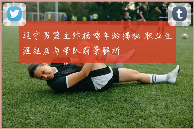 辽宁男篮主帅杨鸣年龄揭秘 职业生涯经历与带队前景解析