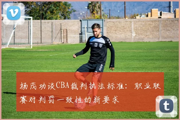 杨茂功谈CBA裁判执法标准：职业联赛对判罚一致性的新要求