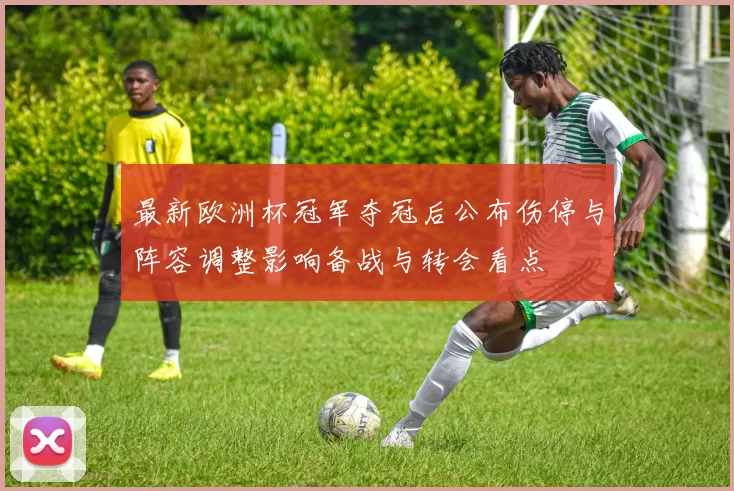 最新欧洲杯冠军夺冠后公布伤停与阵容调整影响备战与转会看点